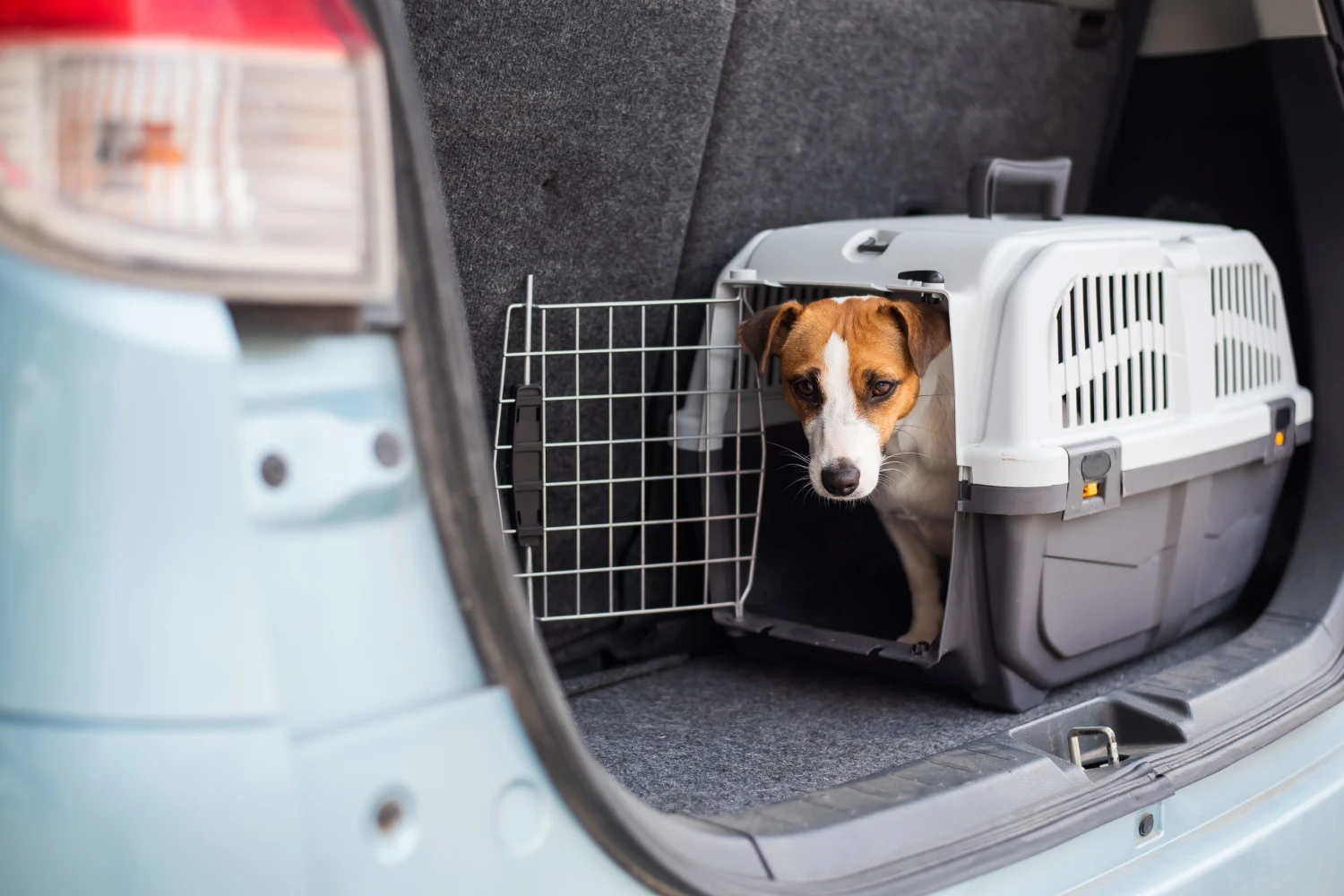 Chevrolet Tahoe Dog Carrier Car Seat for Tenterfield Terrier