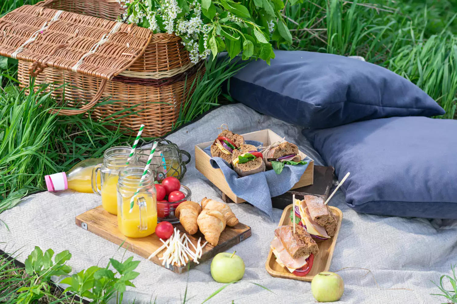 beach picnic blanket mat