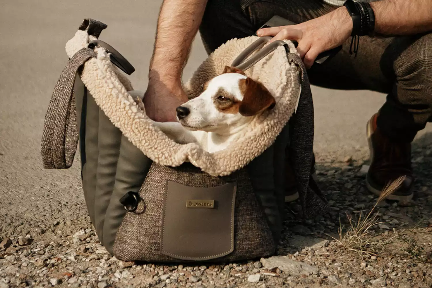 Toyota RAV4 Dog Carrier Car Seat for Japanese Chin