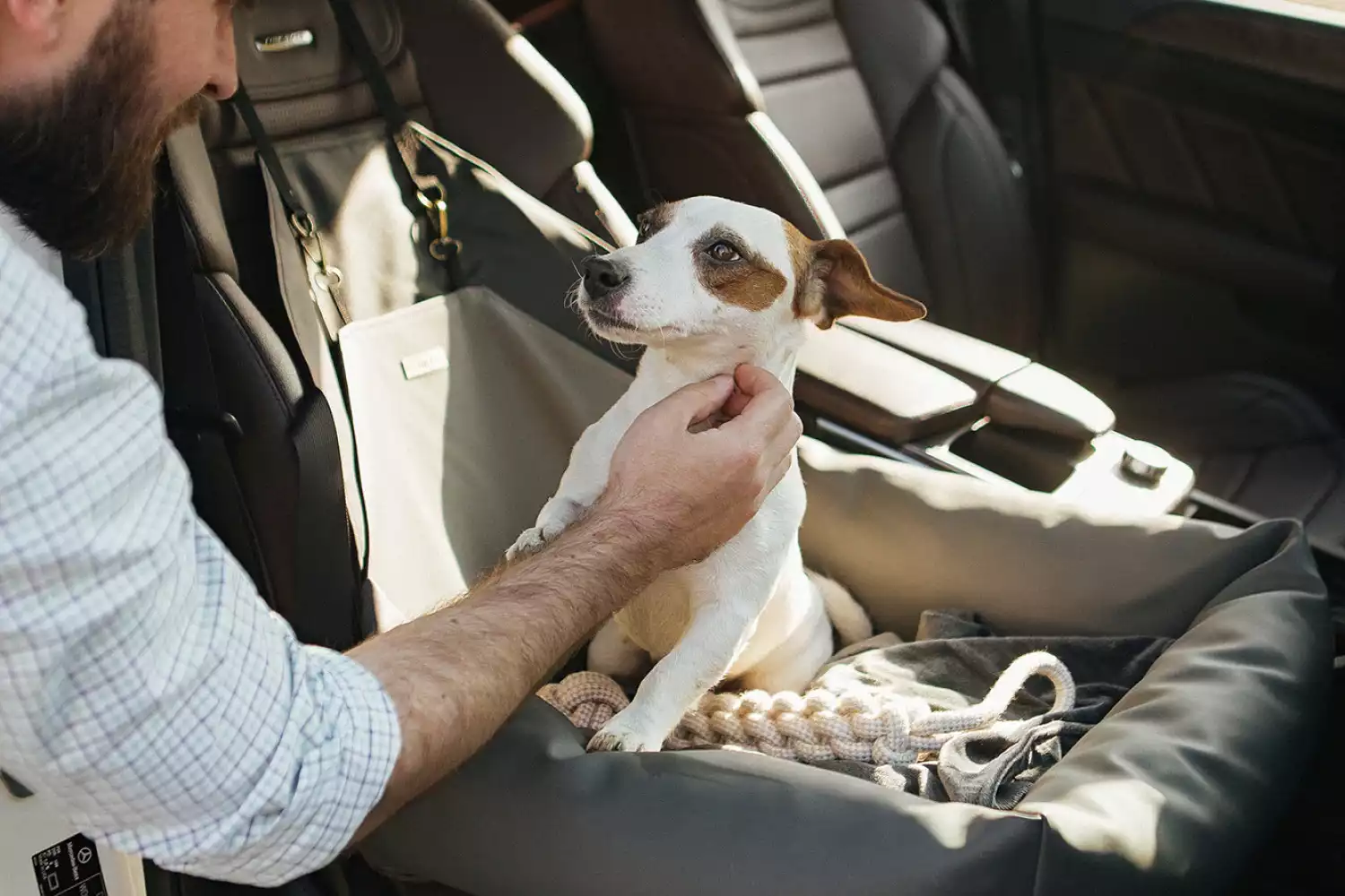 Miniature American Shepherds Dog Car Seat for Volkswagen Passat