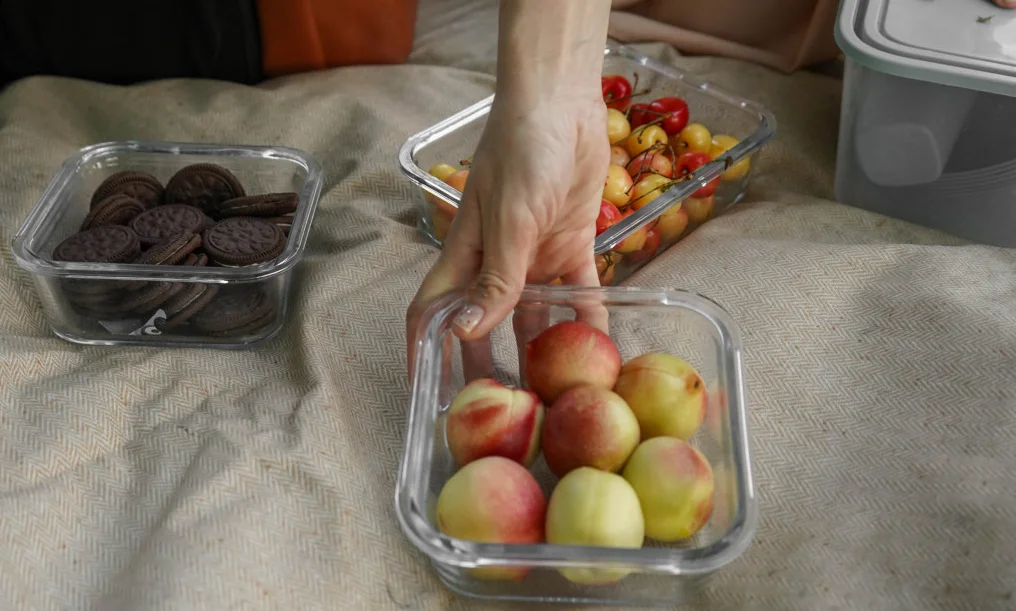 luxury picnic blankets