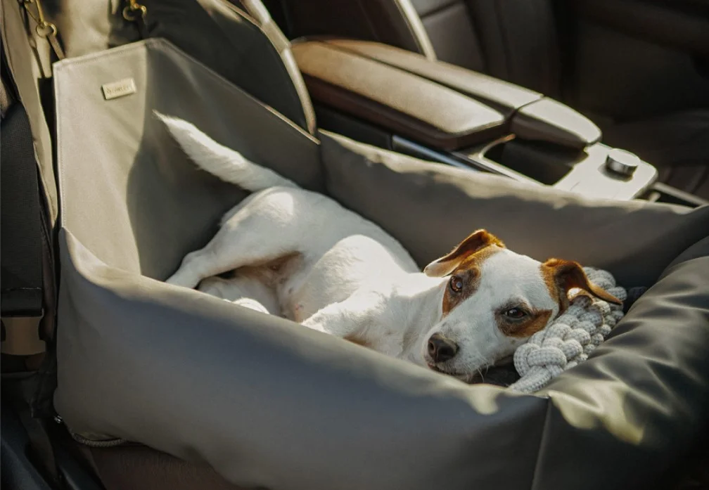 Subaru Outback Dog Car Seat for Bedlington Terriers