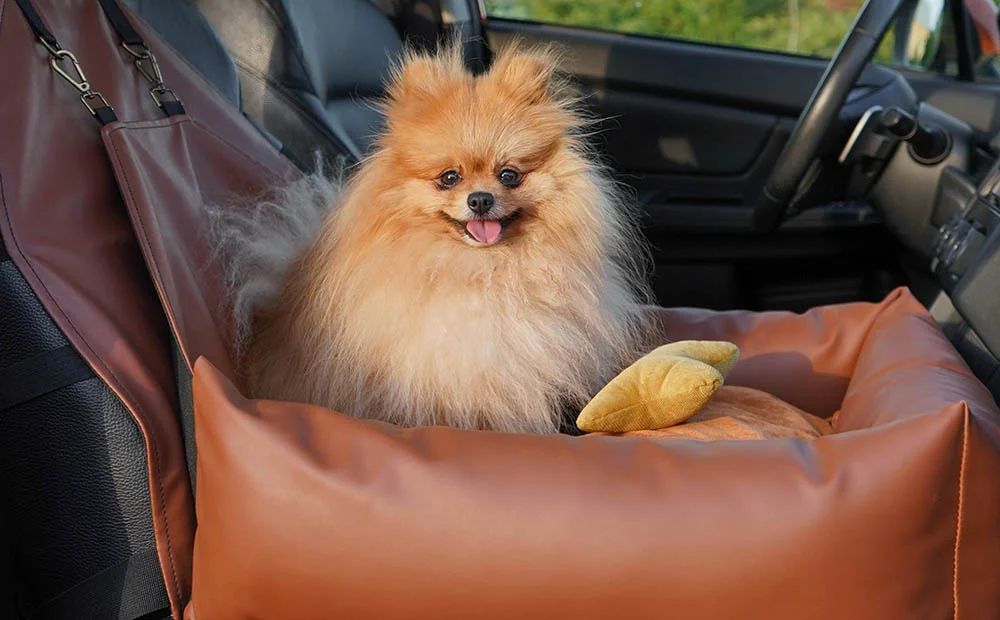 Hyundai Sonata Dog Car Seat for Pomeranians