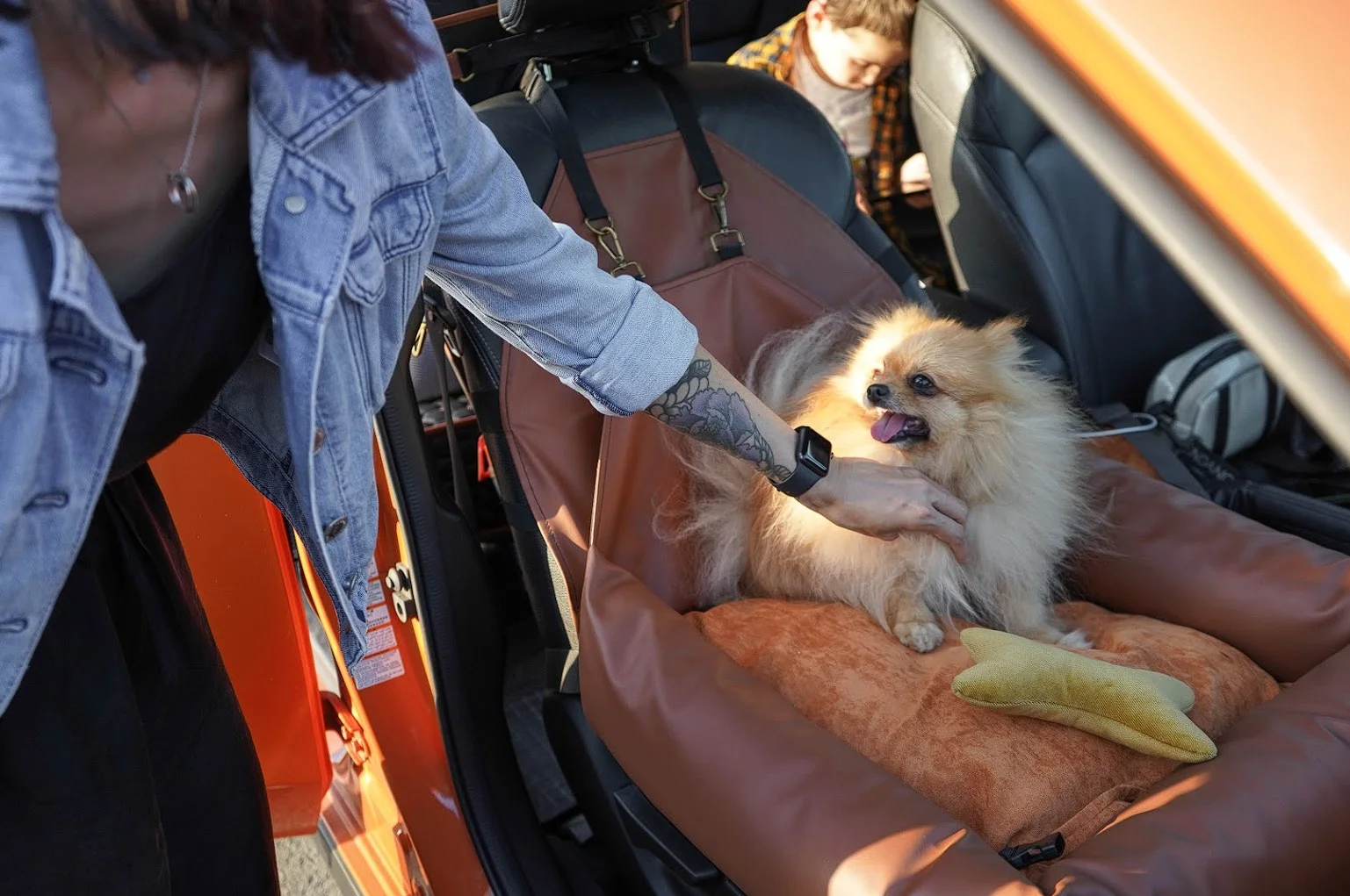 Honda HR-V Dog Car Seat for Shetland Sheepdogs