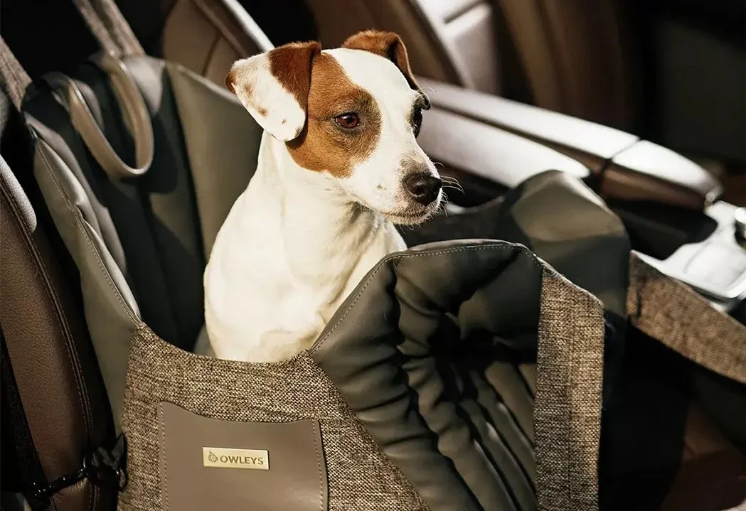 American Hairless Terrier Dog Carrier Car Seat for Hyundai Santa Fe