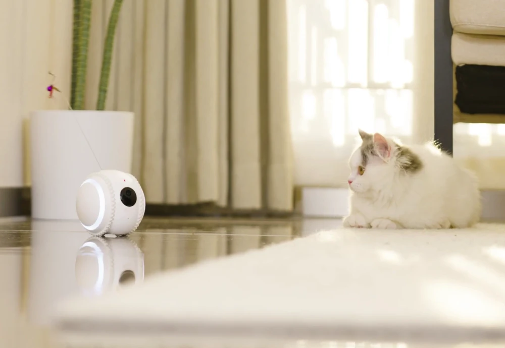 best security camera for pets