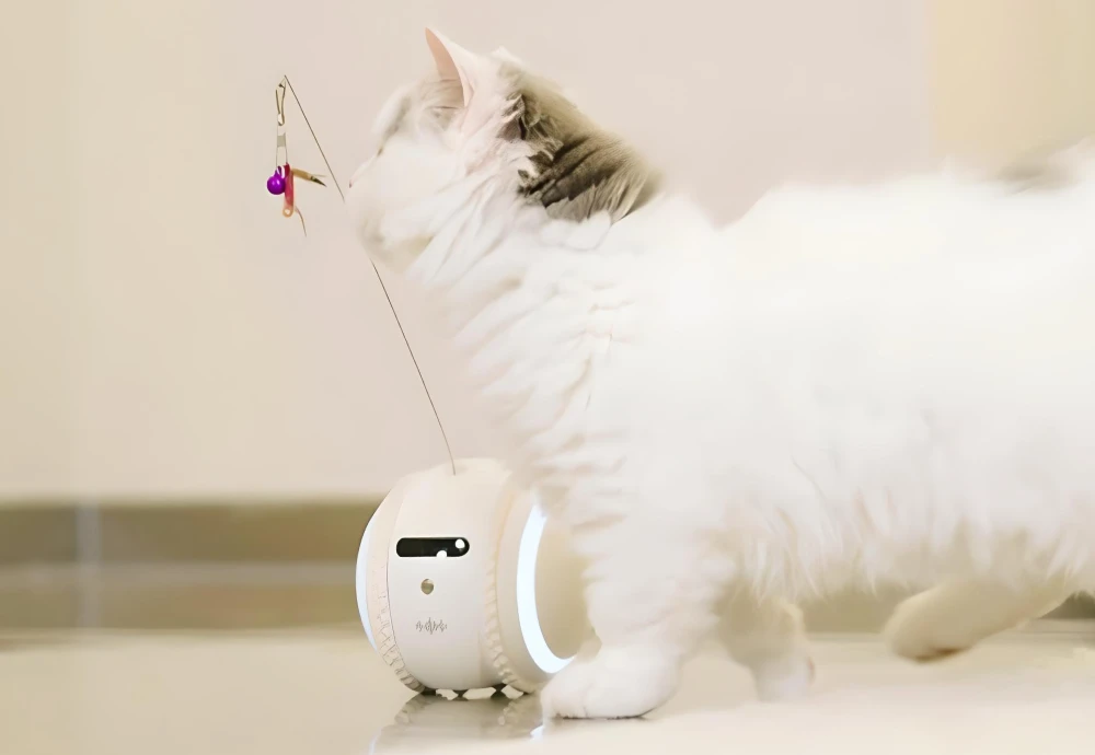 interactive pet camera