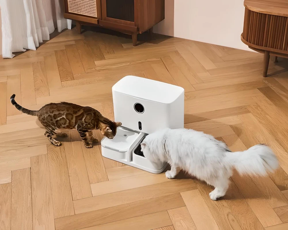 best automatic pet feeder for cats